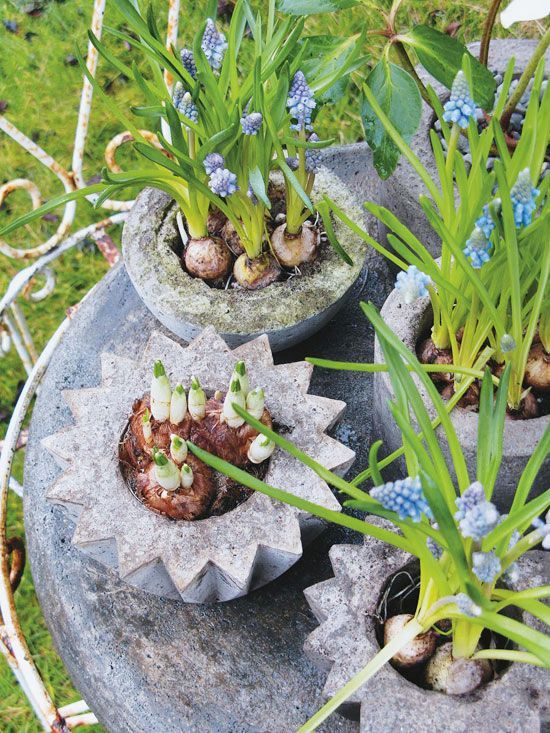 Create beautiful DIY planters out of concrete! Bright blooms create lovely color...